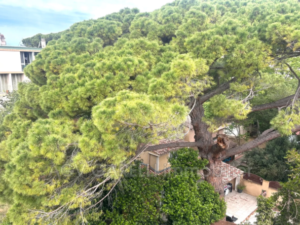 À vendre appartement 3 pièces à Toulon avec terrasse et cave