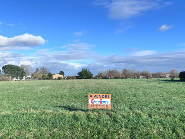 Terrain à vendre de 8 581 m² à Saint-Nicolas-de-la-Grave, idéal pour lotissement