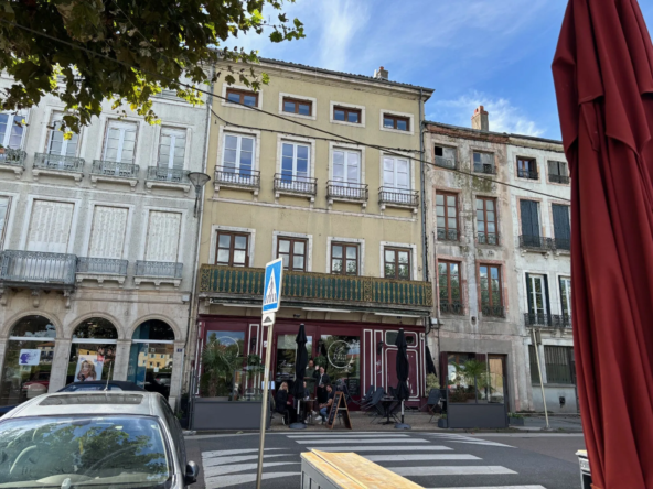 Vente de restaurant en bord de Saône à Tournus - 156 m², bail en cours