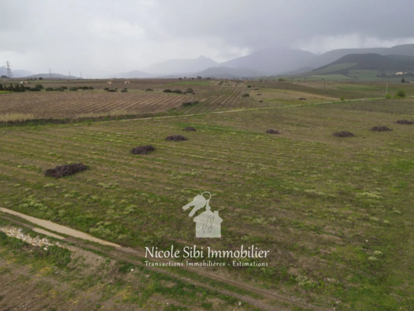 Terrain agricole à vendre à Tautavel de 13 340 m² avec vue dégagée