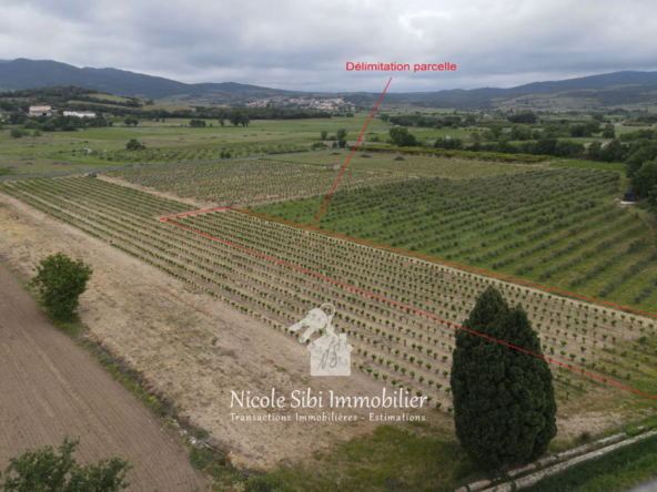 Terrain agricole plat de 1662 m² avec vigne et vue sur le Canigou à Estagel