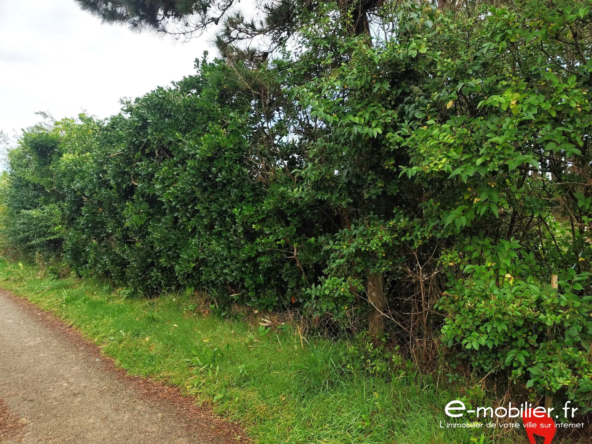 Terrain à Bâtir de 275 m² à Groix, Morbihan - Calme et proche du bourg