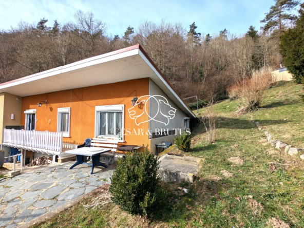 Charmante maison T3 plain-pied avec grand terrain à Vorey sur Arzon