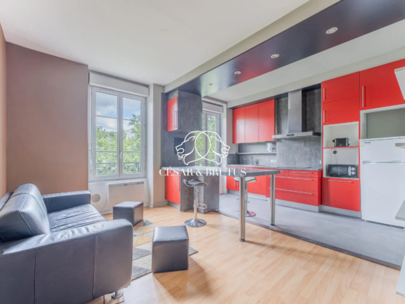T1 lumineux de 35 m² à Lyon près de Perrache et Confluence
