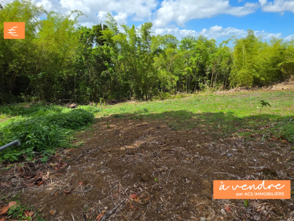 Terrain constructible peu pentu et calme à vendre à Schoelcher, proche commodités
