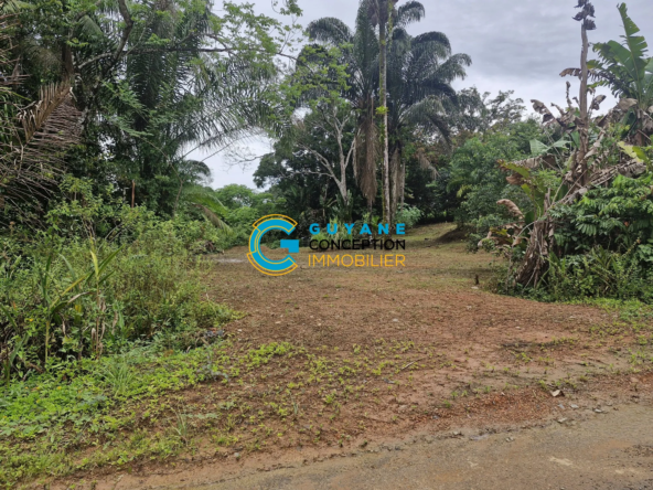 Terrain constructible de 1921 m² à Matoury en Guyane