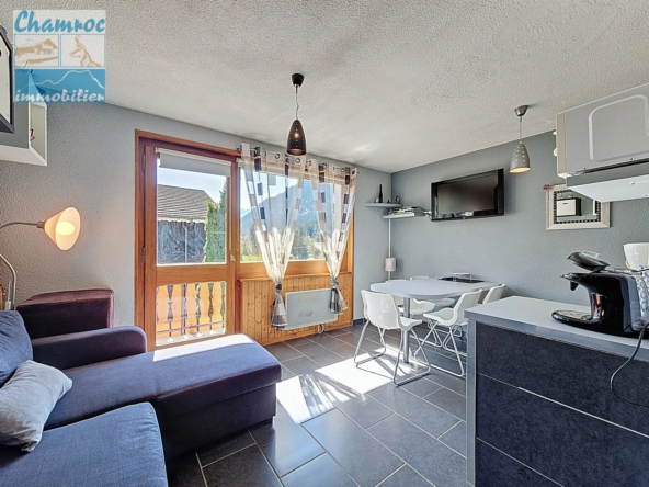 Appartement T2 meublé avec vue montagne à La Chapelle-d'Abondance