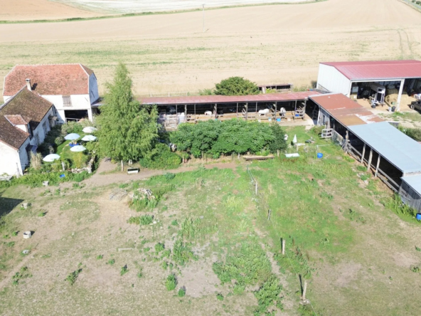 Charmante ferme avec dépendances et grand terrain à La Ferte Gaucher