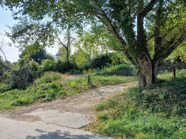 Verger à Céret à vendre avec terrasses et accès voiture