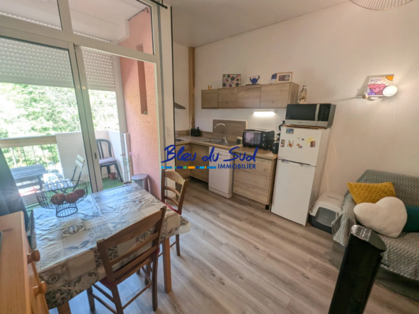 Studio rénové avec terrasse et vue montagne à Vernet-les-Bains