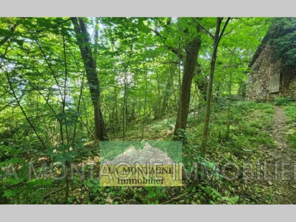 Grange en ruine avec terrain boisé à Lau-Balagnas - Opportunité à rénover
