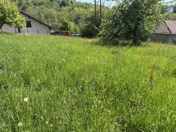 Terrain constructible de 1592 m² à Menthonnex-sur-Clermont en campagne