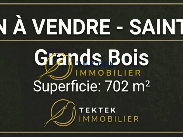 Terrain constructible de 702 m² à Saint-Pierre, potentiel de construction élevé