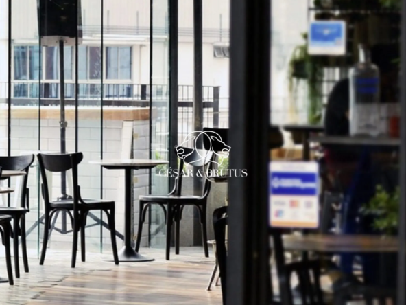 À vendre fonds de commerce restaurant Lyon 2 Perrache-Confluence 53 m²
