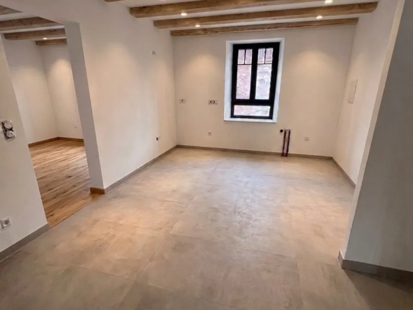 Appartement T2 rénové de 48,63 m² avec terrasse à Chatenois