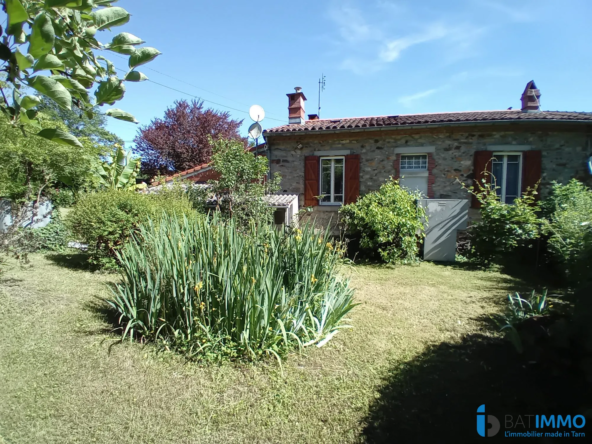 Charmante maison en pierre avec jardin à Saint-Amans-Soult
