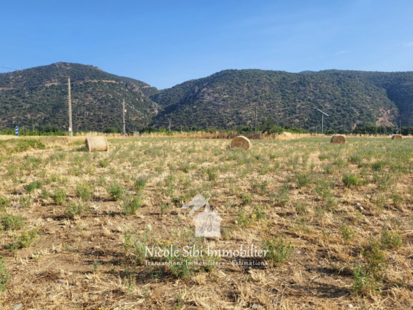 Terrain agricole à vendre à Vinca – 11 821 m² avec équipements