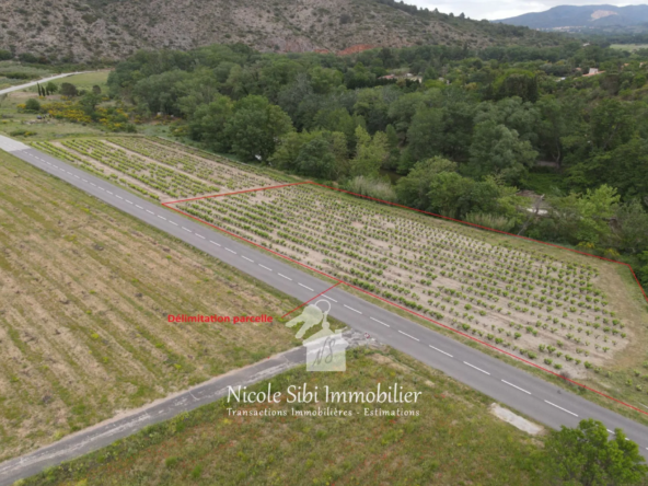 A vendre terrain agricole plat à Latour-de-France avec vigne et bordure de rivière