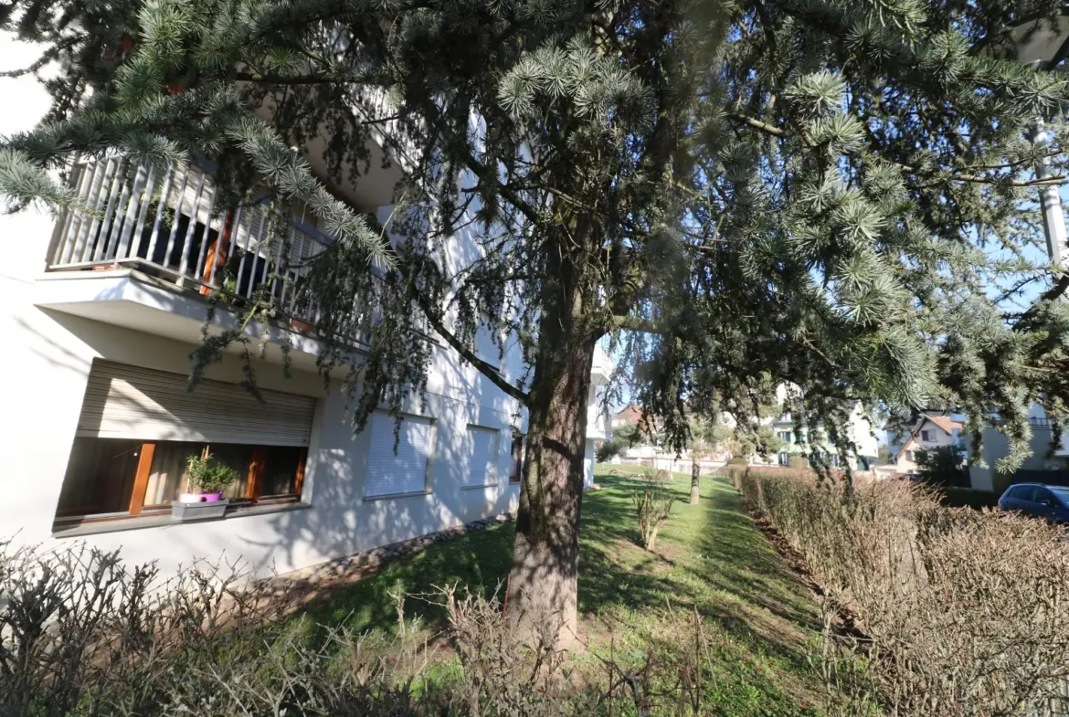 Chambre de service avec salle d'eau indépendante à Strasbourg Robertsau 