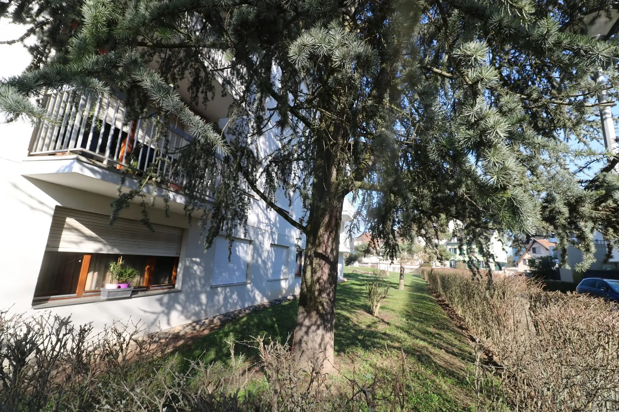 Chambre de service avec salle d'eau indépendante à Strasbourg Robertsau 