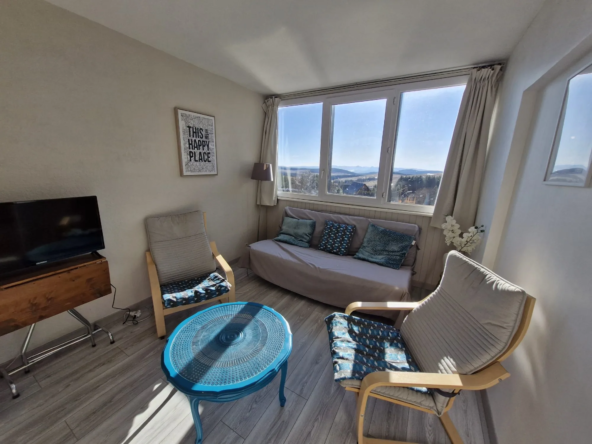Appartement lumineux de 42 m² à Besse-et-Saint-Anastaise, proche des pistes
