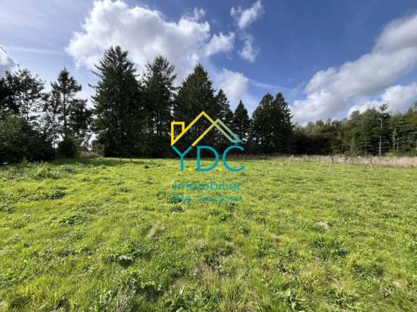 Terrain constructible divisible à Yerville de 2177 m² - Opportunité rare