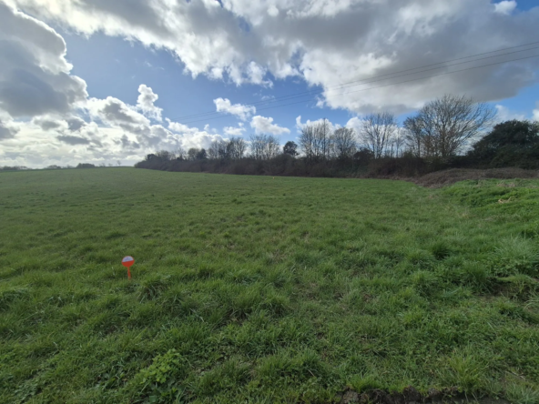 Terrain constructible à vendre à Vouhé - 945 m² entièrement viabilisé