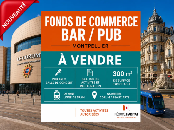 Fonds de commerce à Montpellier centre – Pub et salle de concert, 300 m², CA 295 K€