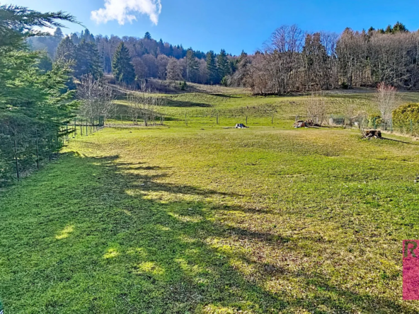 Terrain constructible à Habère-Poche avec vue dégagée et environnement paisible