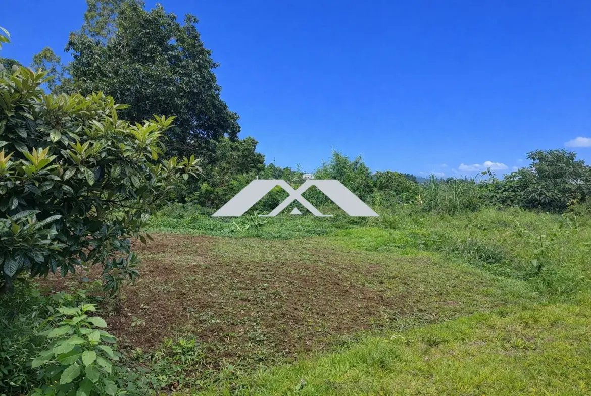Terrain constructible de 418 m² avec vue mer à Saint-Paul 