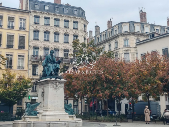 À vendre murs commerciaux dans le quartier Ampère à Lyon 2 - Emplacement premium
