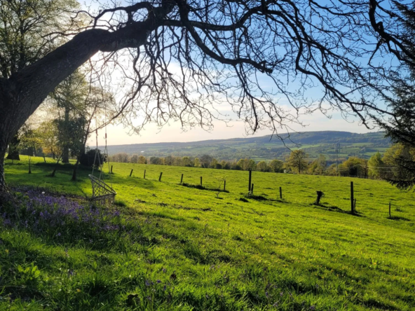 Maison à vendre St Georges sur Erve  Maison de campagne à finir de rénover 144 m² avec grand terrain - calme et potentiel