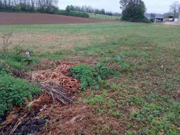 Superbe terrain constructible de 800 m² à Romagnieu - Opportunité à ne pas manquer