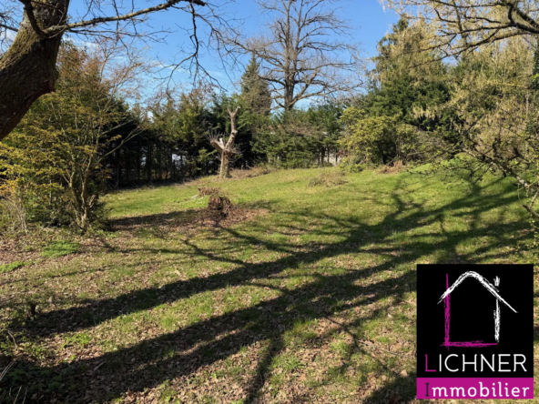 Terrain constructible de 1678 m² à Saint-Avold, proximité centre-ville
