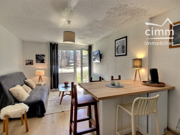 Appartement rénové à Les Carroz d'Arâches 74300, résidence calme avec vue et terrasse