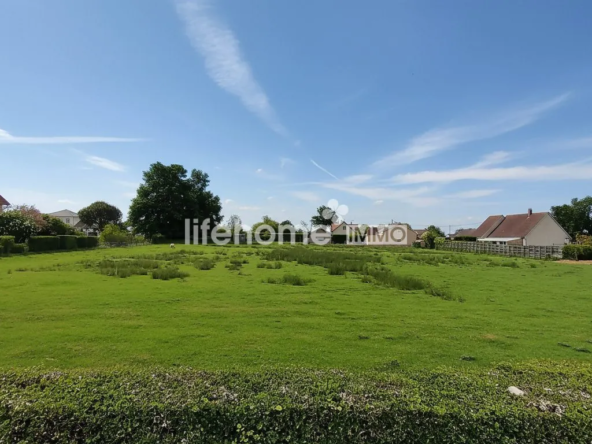 Terrain constructible de 6 100 m² à Montoldre, opportunité rare