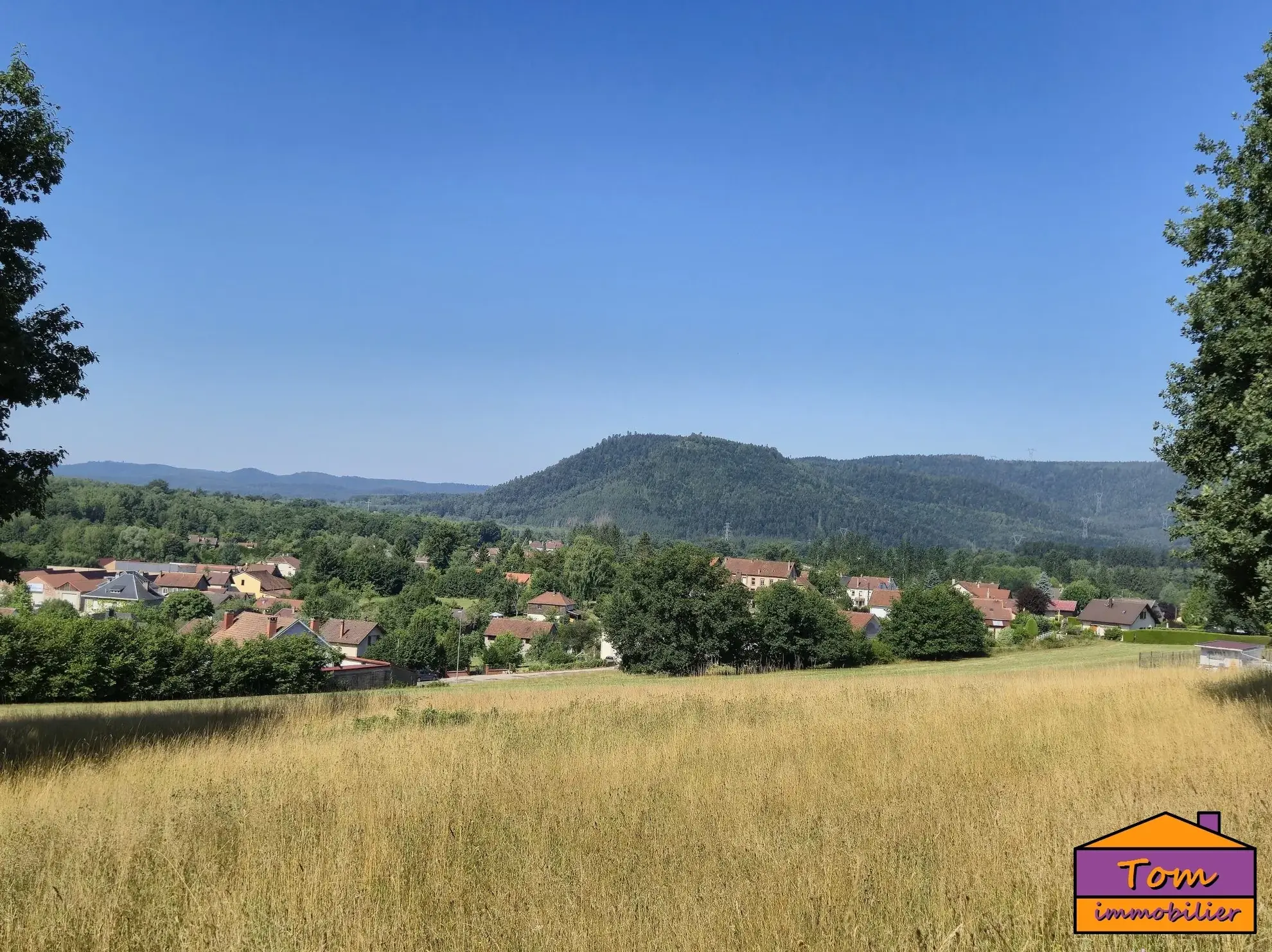 Terrain constructible à Moyenmoutier de 3325 m² avec vue dégagée à vendre pour 67 000 euros 