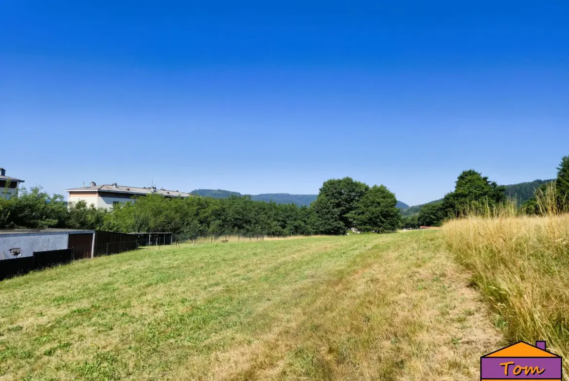 Terrain constructible à Moyenmoutier de 3325 m² avec vue dégagée à vendre pour 67 000 euros 
