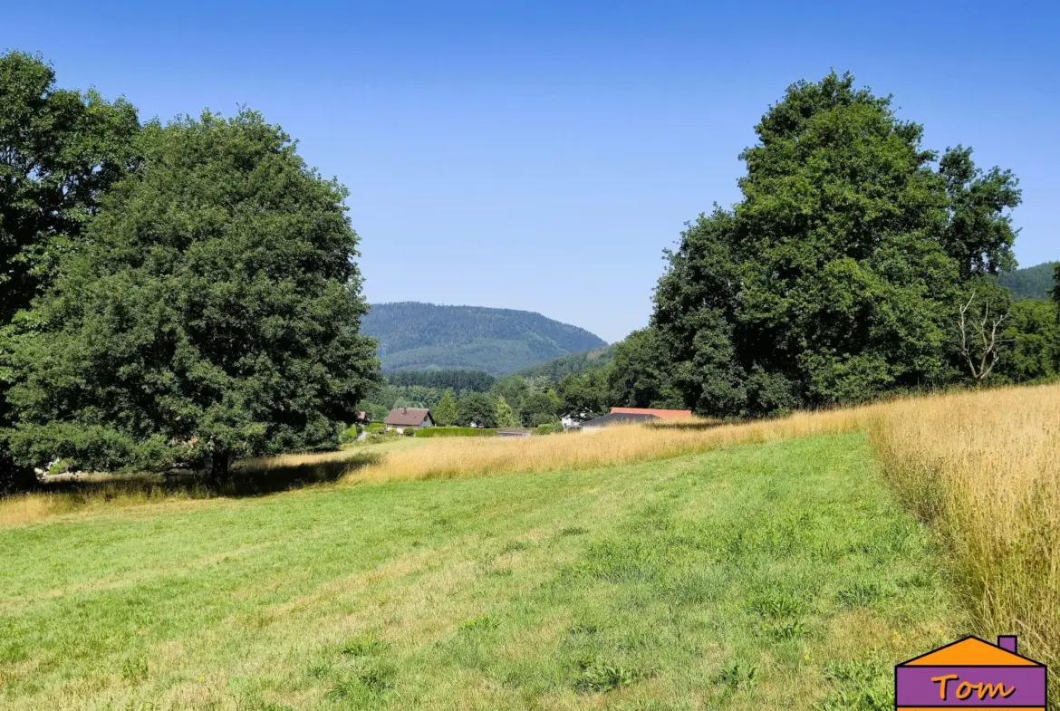 Terrain constructible à Moyenmoutier de 3325 m² avec vue dégagée à vendre pour 67 000 euros 