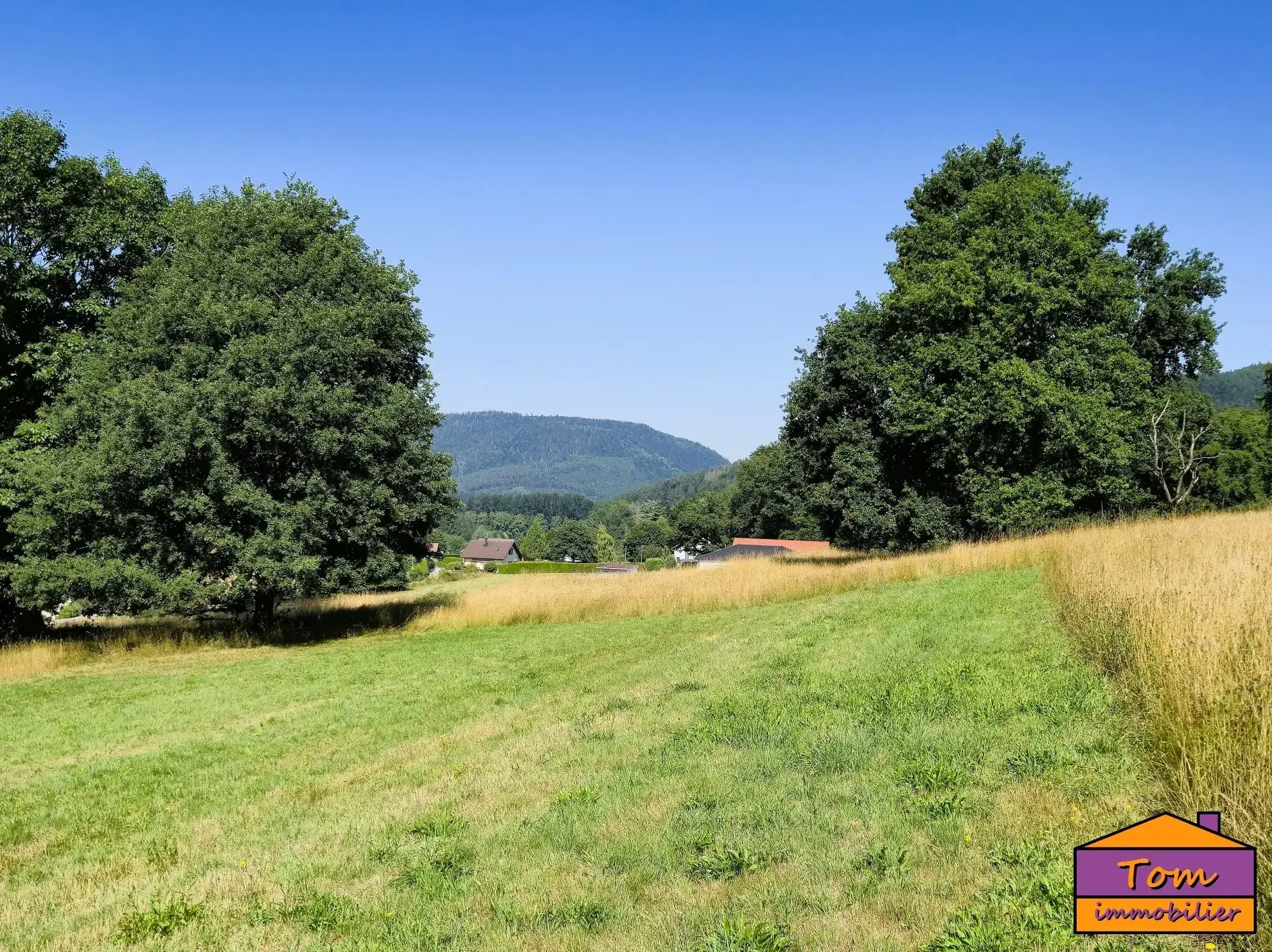 Terrain constructible à Moyenmoutier de 3325 m² avec vue dégagée à vendre pour 67 000 euros 