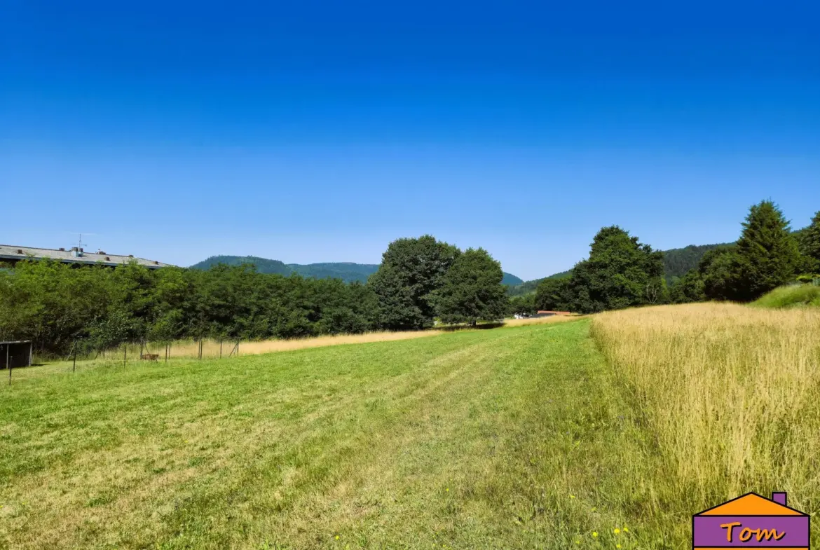 Terrain constructible à Moyenmoutier de 3325 m² avec vue dégagée à vendre pour 67 000 euros 