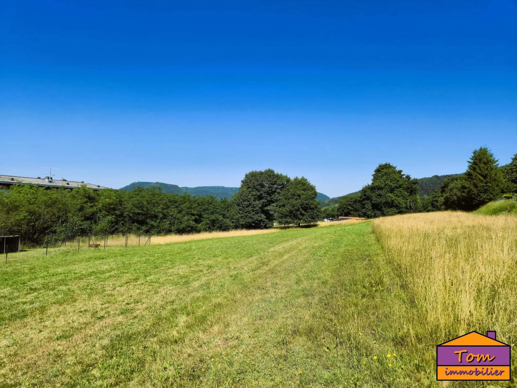 Terrain constructible à Moyenmoutier de 3325 m² avec vue dégagée à vendre pour 67 000 euros 