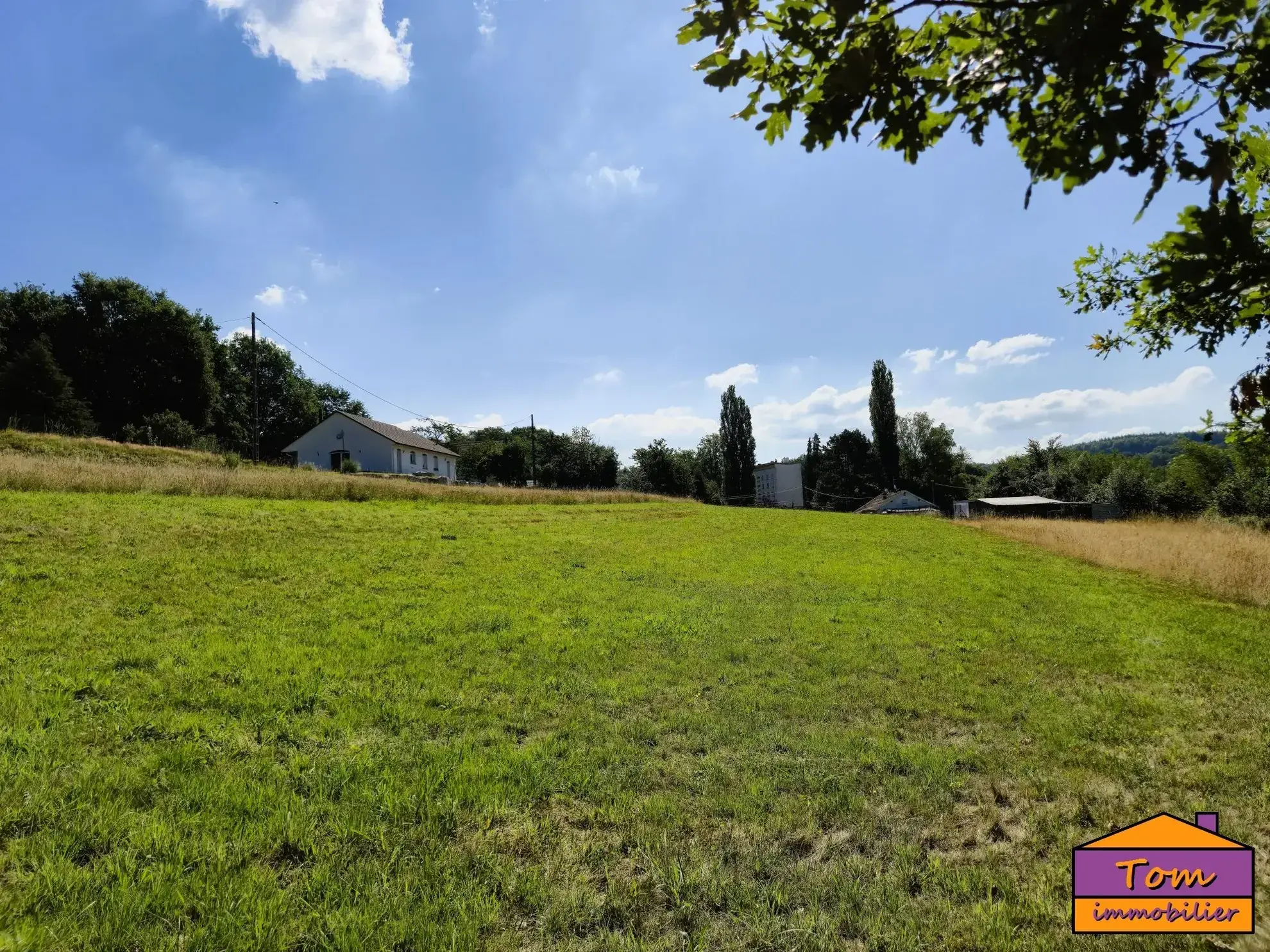 Terrain constructible à Moyenmoutier de 3325 m² avec vue dégagée à vendre pour 67 000 euros 