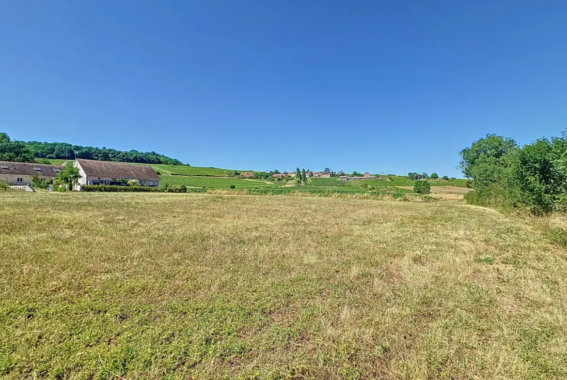 Terrain constructible à Buxy avec vue sur la campagne - Divisible et proche commodités 