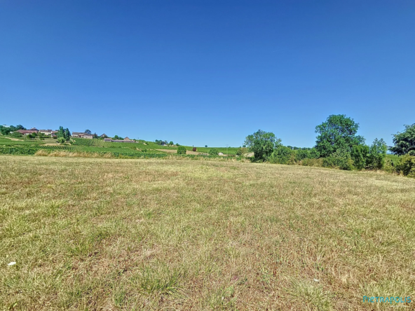 Terrain constructible à Buxy avec vue sur la campagne - Divisible et proche commodités