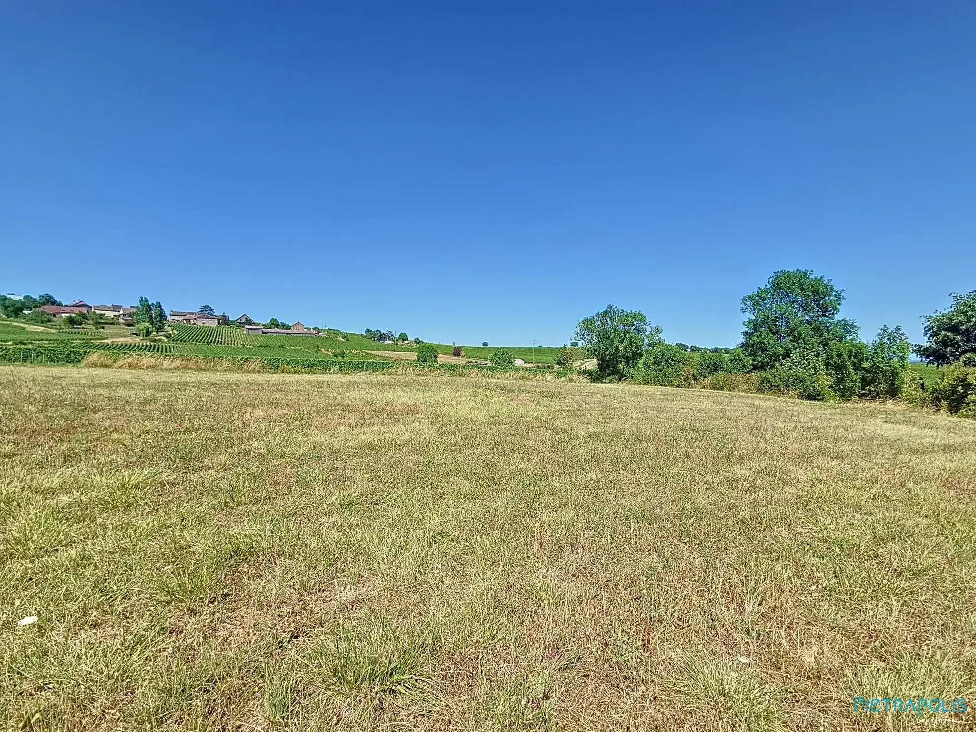 Terrain constructible à Buxy avec vue sur la campagne - Divisible et proche commodités 
