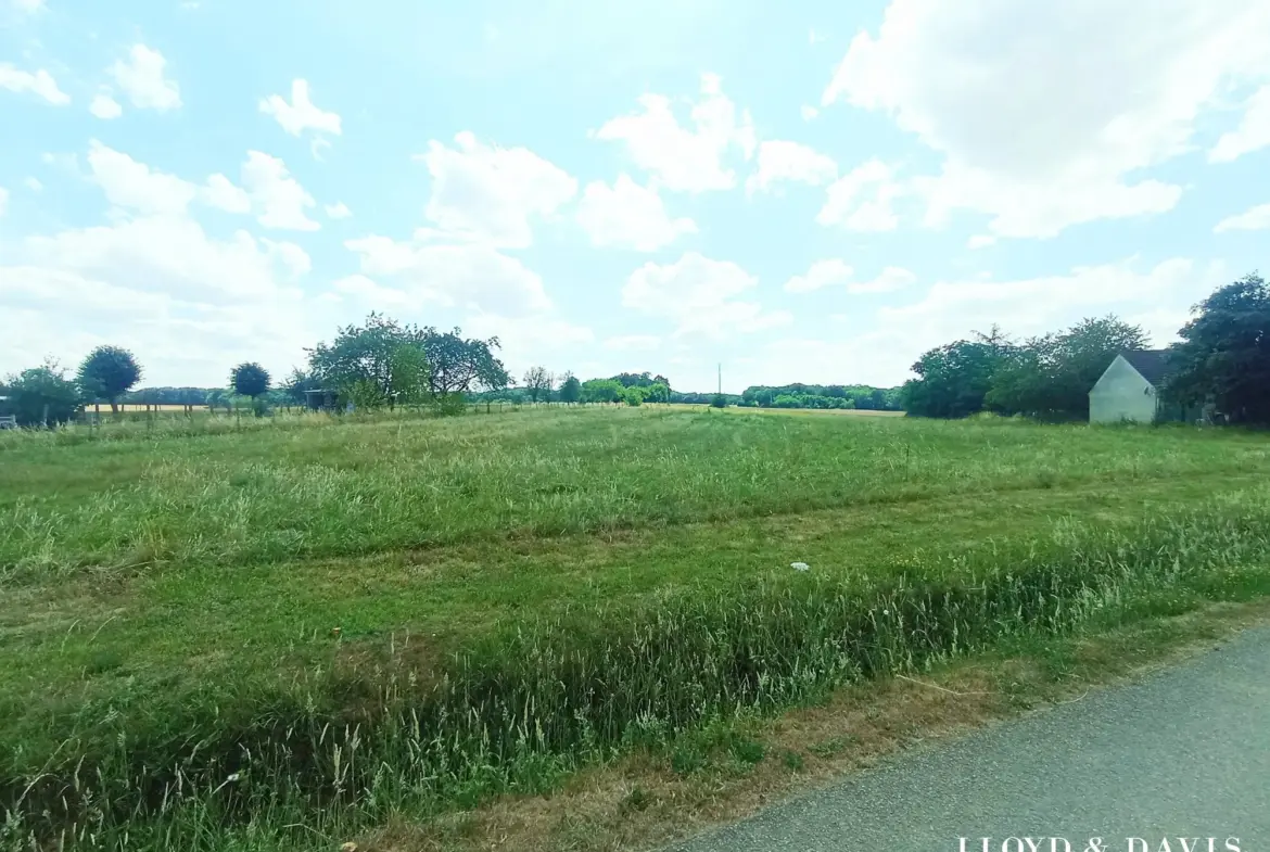 Terrain constructible de 5521 m² à Saint-Sérotin, proche Sens 
