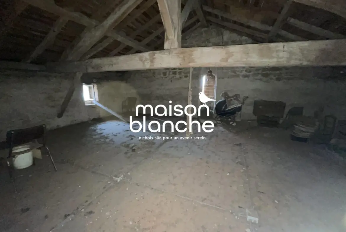 Belle maison en pierre avec jardin et potentiel à Blasimon 