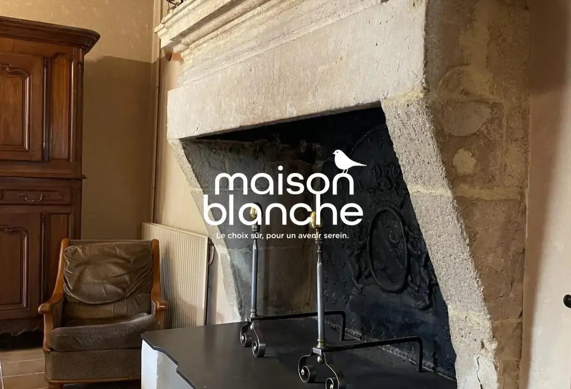 Belle maison en pierre avec jardin et potentiel à Blasimon 