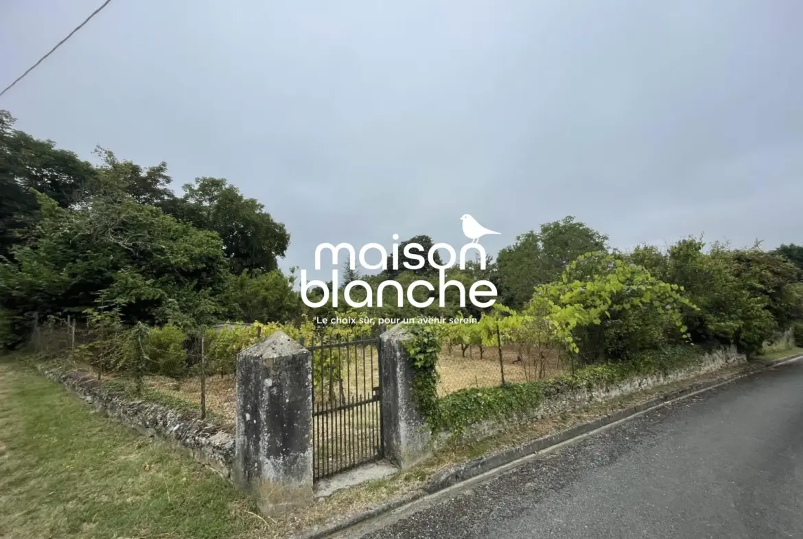 Belle maison en pierre avec jardin et potentiel à Blasimon 
